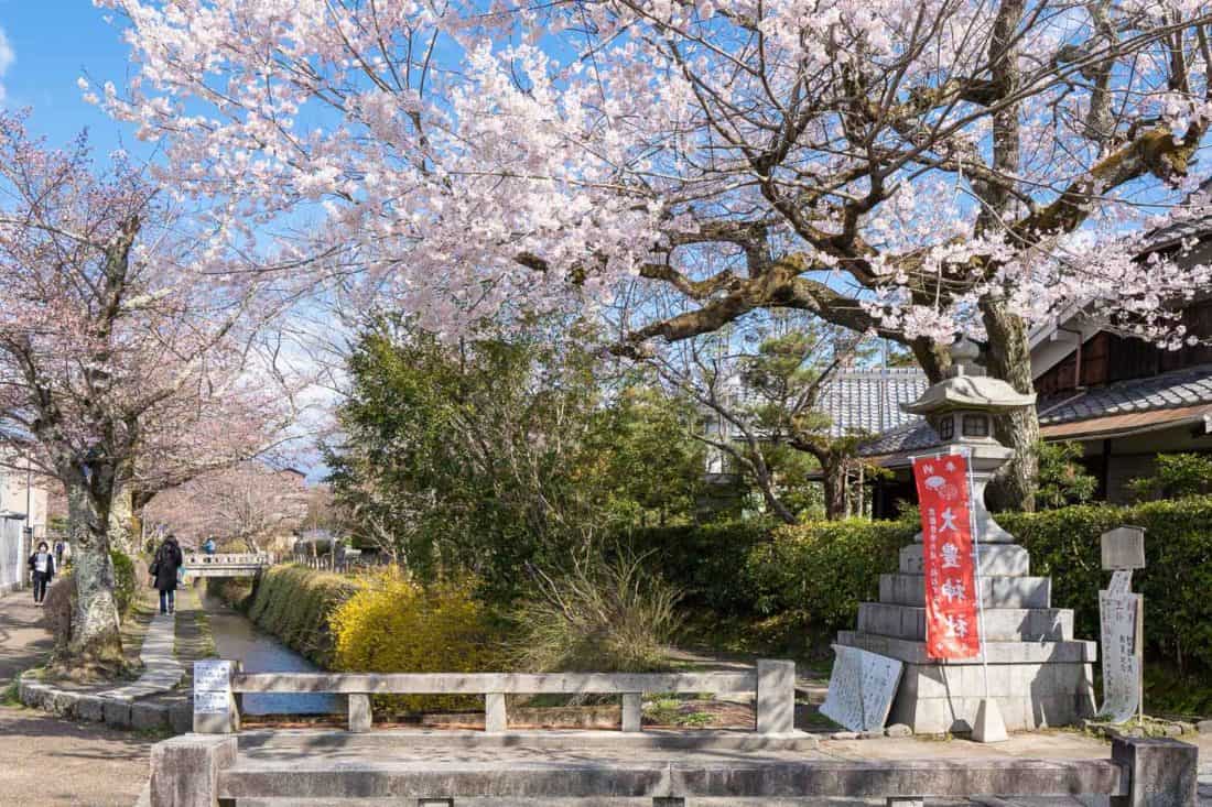 Philosopher's Path, Kyoto